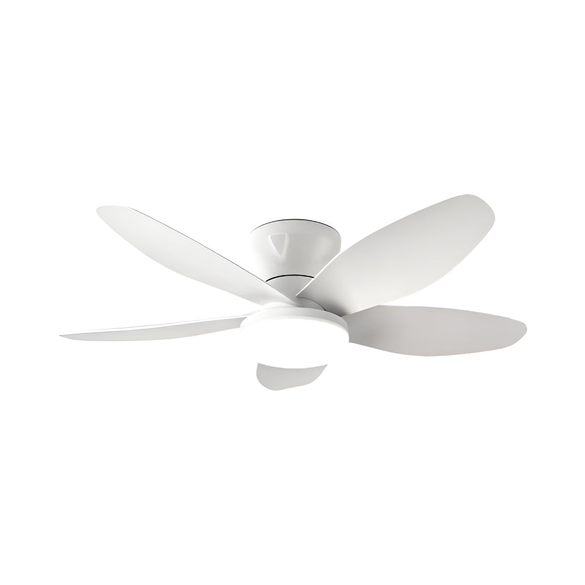 Modern Minimalist Five Blade Remote Ceiling Fan with Light