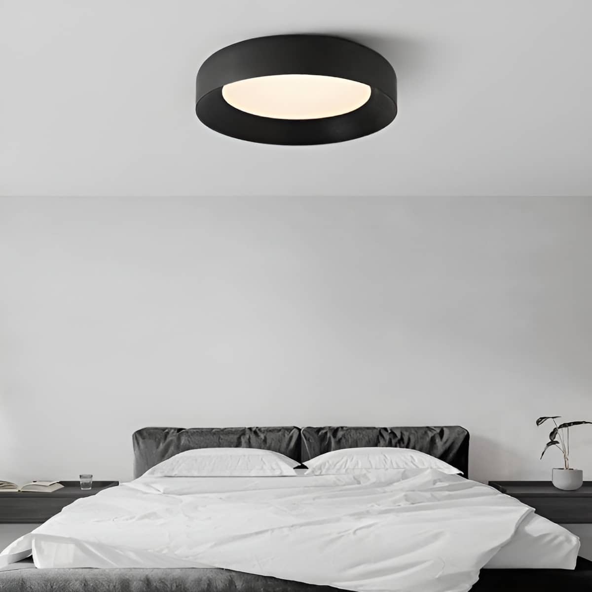 Modern Iron Round LED Interior Ceiling Light