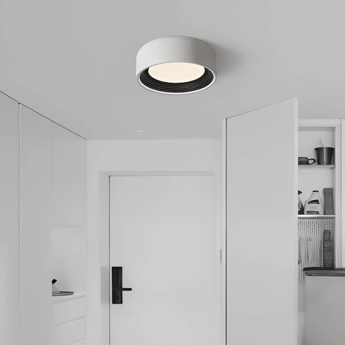 Modern Iron Round LED Interior Ceiling Light