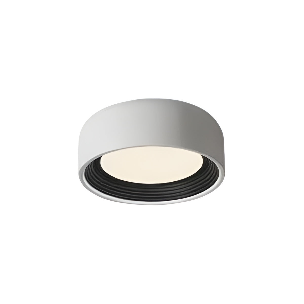 Modern Iron Round LED Interior Ceiling Light
