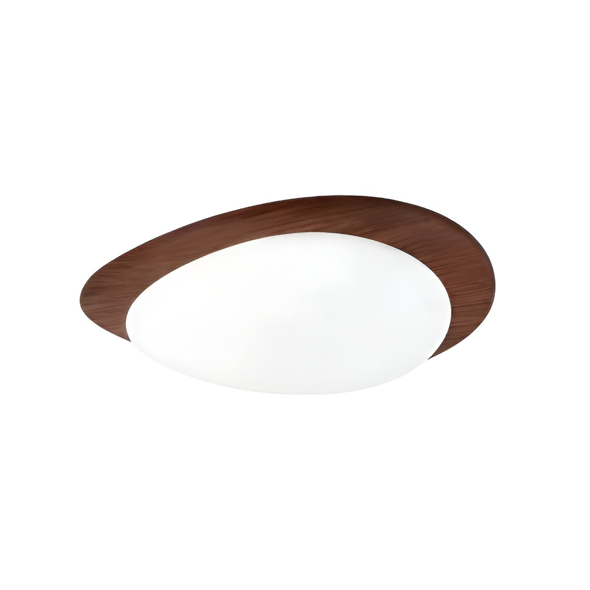 Modern Pebble Shaped Flush Mount Ceiling Lamp