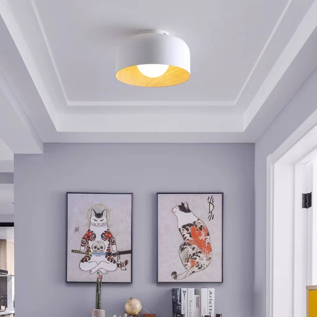 Nordic Minimalist Bowl Shaped Ceiling Lamp