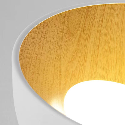 Creative Sloping Bowl Hallway Ceiling Light