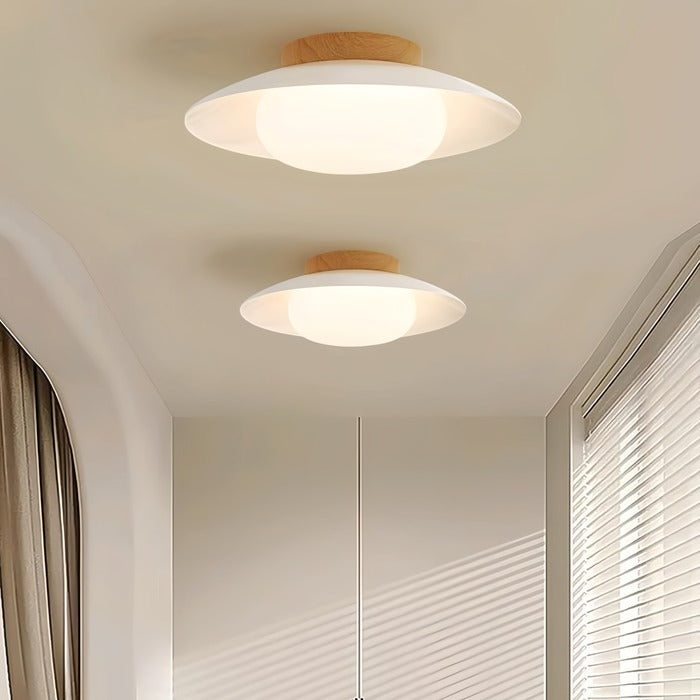 Minimalist LED Entryway Round Ceiling Light