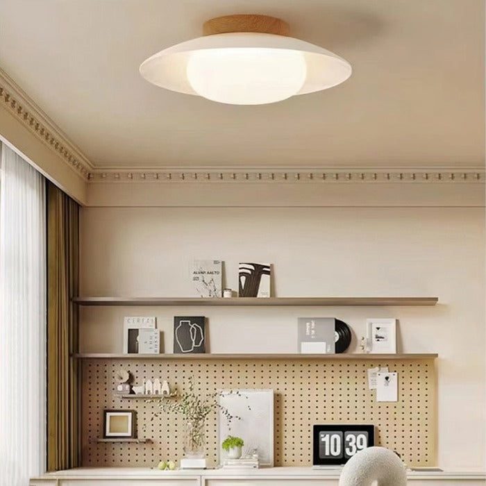 Minimalist LED Entryway Round Ceiling Light