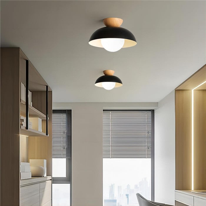 Modern Metal Bowl Shaped Ceiling Lamp