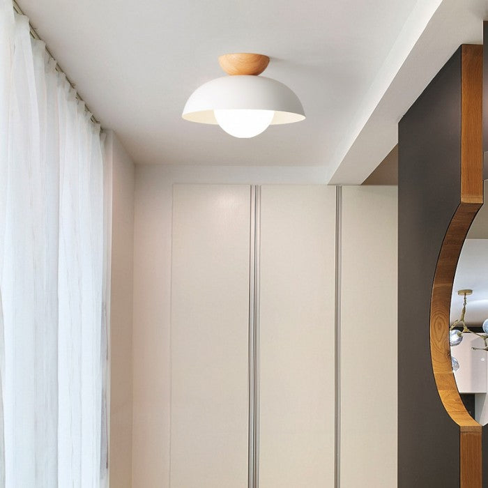 Modern Metal Bowl Shaped Ceiling Lamp