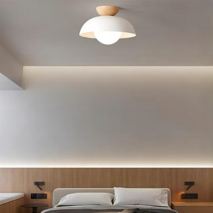 Modern Metal Bowl Shaped Ceiling Lamp