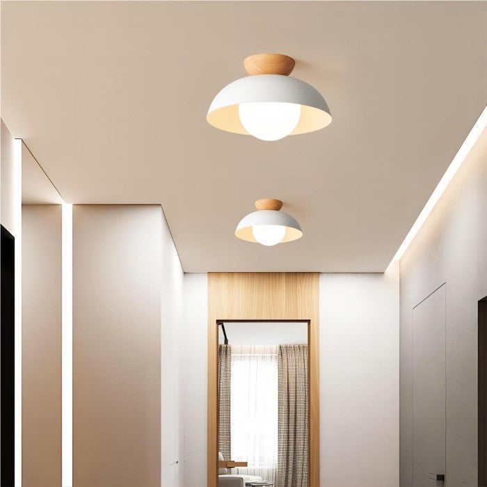 Modern Metal Bowl Shaped Ceiling Lamp