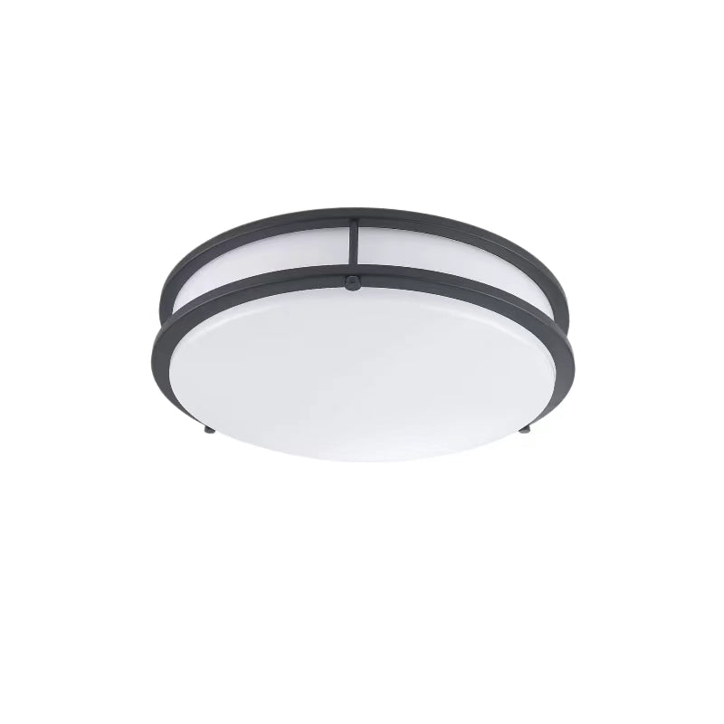 Modern Flush Mount Dimmable LED Ceiling Lamp