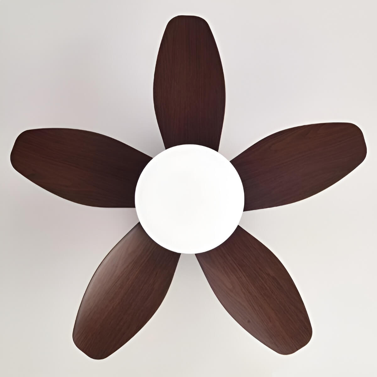 Ventilateur plafond avec lumière et télécommande moderne et minimaliste à 5 pales