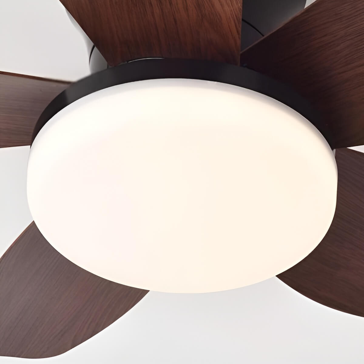 Ventilateur plafond avec lumière et télécommande moderne et minimaliste à 5 pales