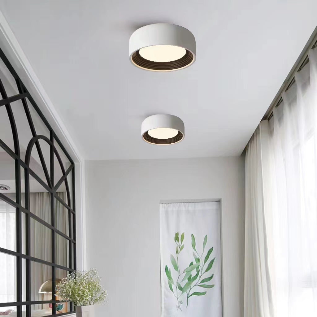 Modern Minimalist Iron Ceiling Light