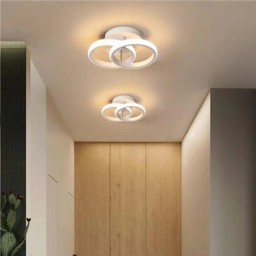 Modern Creative LED Ceiling Lamp