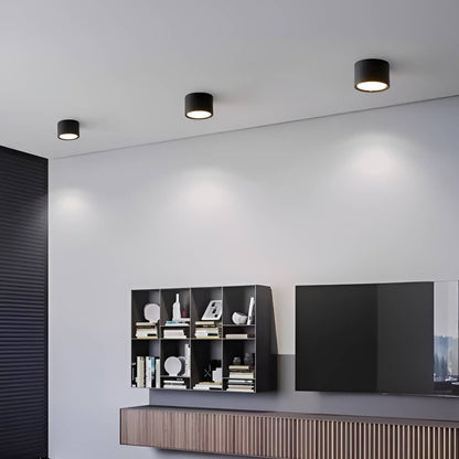 Modern Minimalist Cylinder Small LED Ceiling Light