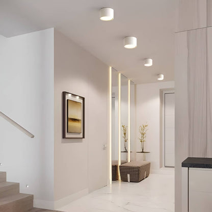 Modern Minimalist Cylinder Small LED Ceiling Light