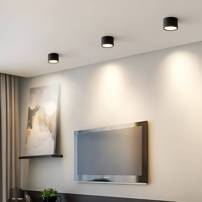 Modern Minimalist Cylinder Small LED Ceiling Light