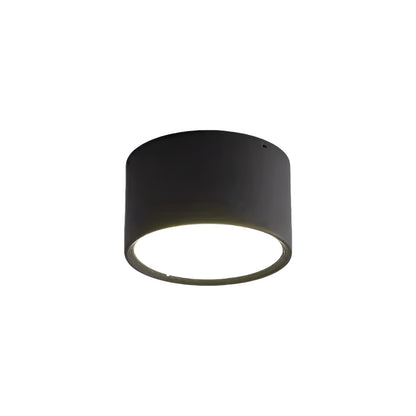 Modern Minimalist Cylinder Small LED Ceiling Light