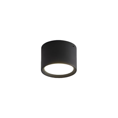 Modern Minimalist Cylinder Small LED Ceiling Light