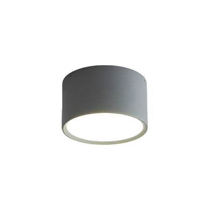Modern Minimalist Cylinder Small LED Ceiling Light