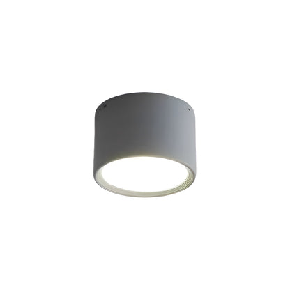 Modern Minimalist Cylinder Small LED Ceiling Light
