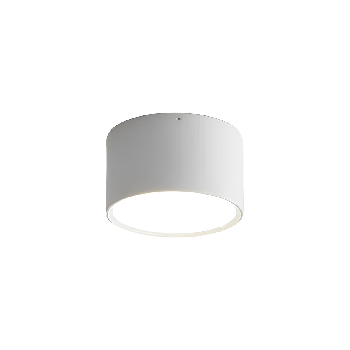 Modern Minimalist Cylinder Small LED Ceiling Light
