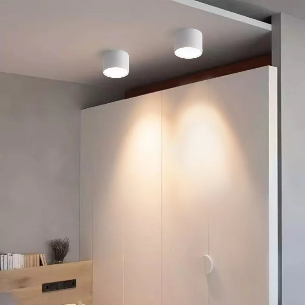 Modern Minimalist Mini Acrylic Ceiling Lamp