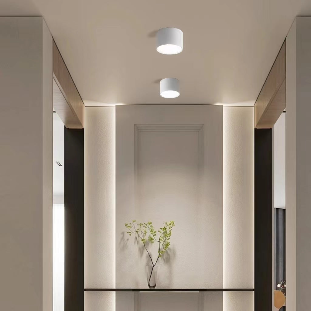 Modern Minimalist Mini Acrylic Ceiling Lamp
