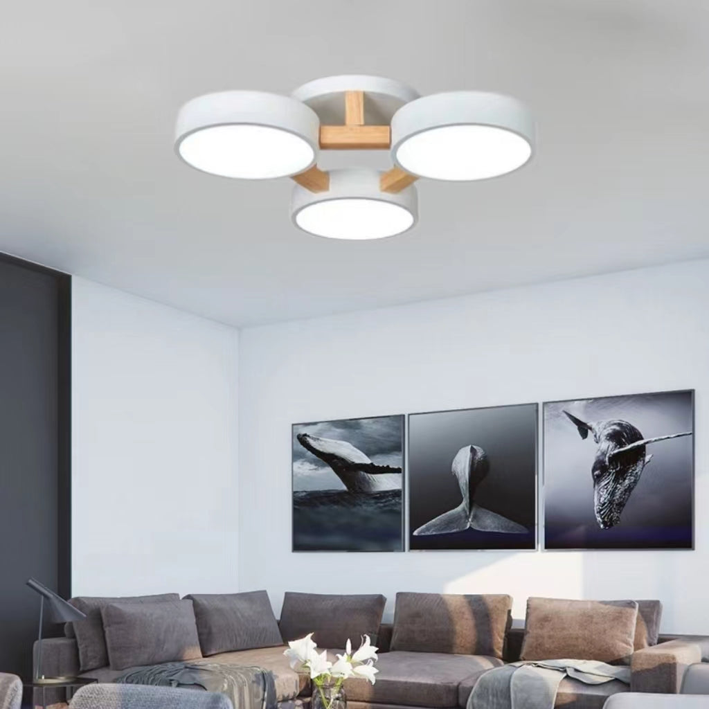 Modern Multi Heads Circular Ceiling Lamp