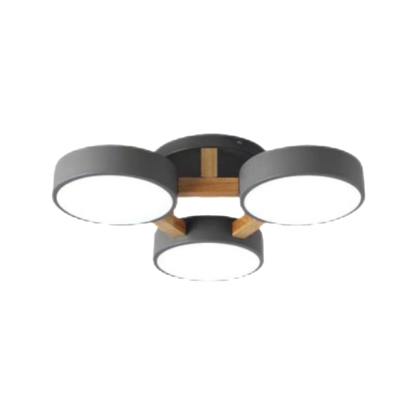 Modern Multi Heads Circular Ceiling Lamp