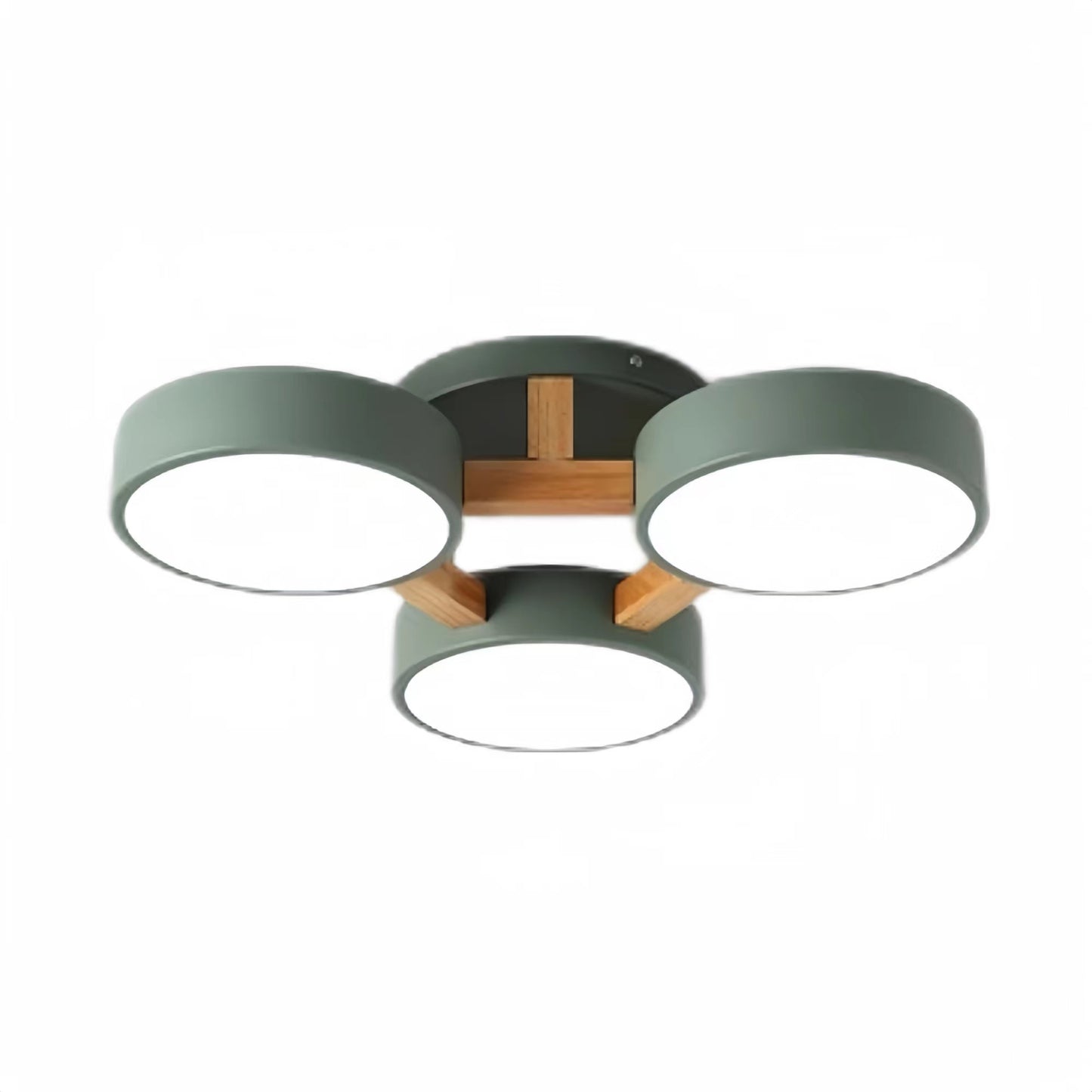 Modern Multi Heads Circular Ceiling Lamp