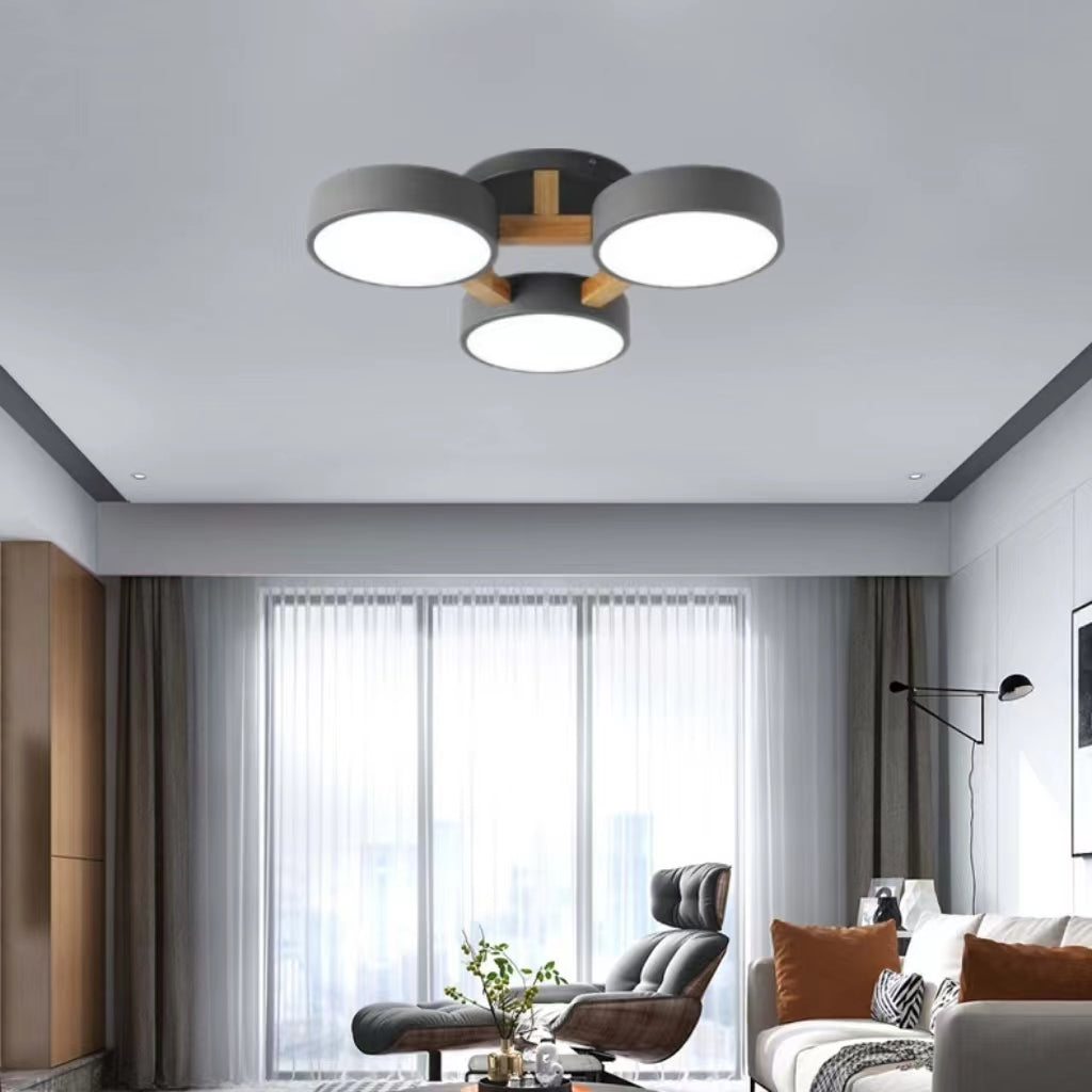 Modern Multi Heads Circular Ceiling Lamp